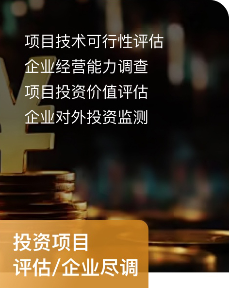 投资项目评估